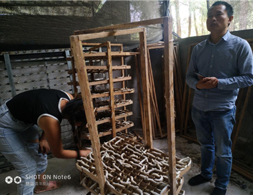 上海体育频道:2025我国轻纺城乌兹别克斯坦纺织面辅料展今天开幕